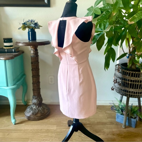 NWT BCBGeneration Cutout Ruffled Mini Sheath Dress Pink Rose Smoke Size 4 - Picture 6 of 9